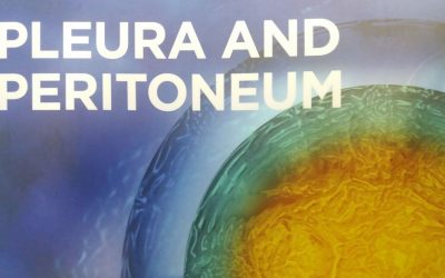 Pleura and Peritoneum – Even with 2024 in the year